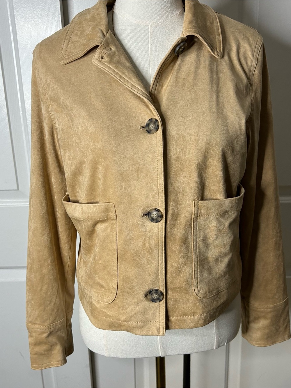 NWT (Size M) BAGATELLE
Suede Collared Jacket - Picture 3 of 9